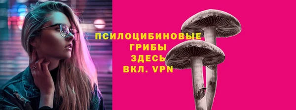 прущие крисы Алзамай